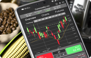 Staking Opportunities